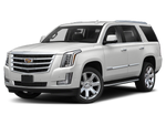 2019 Cadillac Escalade 4WD 4dr Platinum