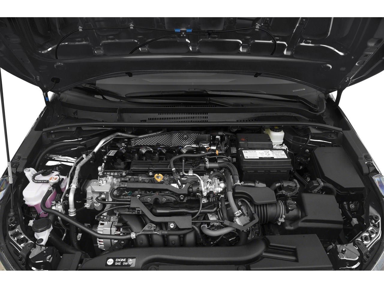 2025 Toyota Corolla SE CVT (Natl)