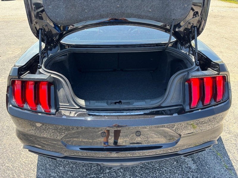 2019 Ford Mustang Bullitt Fastback