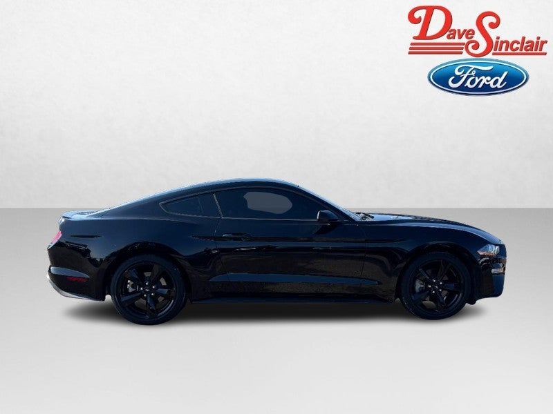 2022 Ford Mustang EcoBoost Fastback