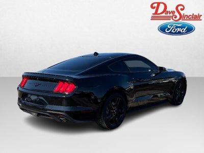 2022 Ford Mustang EcoBoost Fastback