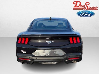 2024 Ford Mustang EcoBoost Fastback