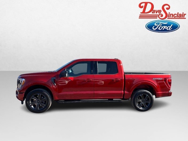 2023 Ford F-150 XLT 4WD SuperCrew 5.5' Box