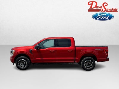 2023 Ford F-150 XLT 4WD SuperCrew 5.5' Box