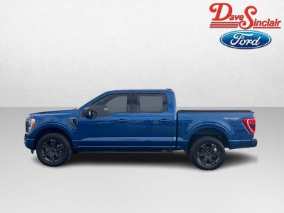2023 Ford F-150 XLT 4WD SuperCrew 5.5' Box