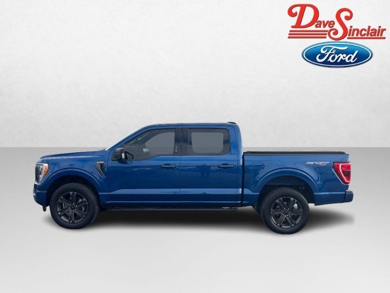 2023 Ford F-150 XLT 4WD SuperCrew 5.5' Box