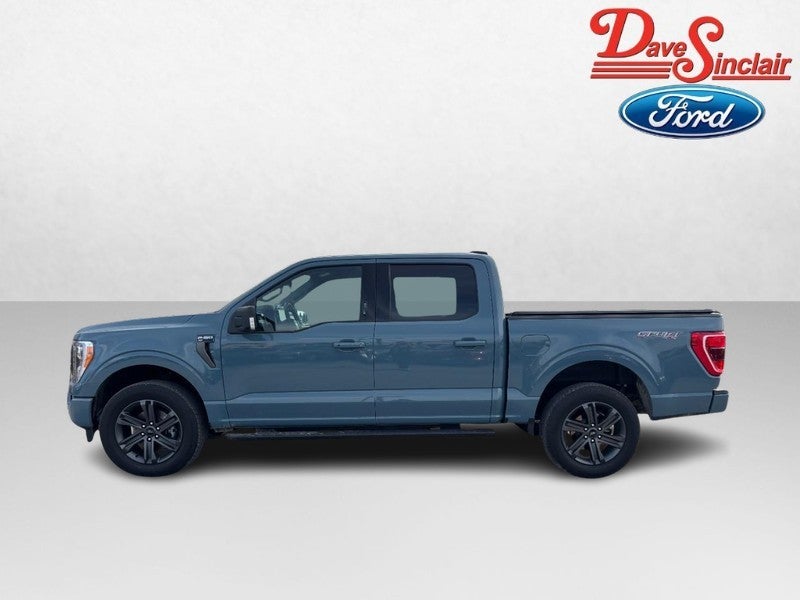 2023 Ford F-150 XLT 4WD SuperCrew 5.5' Box