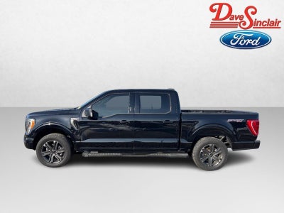 2023 Ford F-150 4WD SuperCrew 5.5' Box