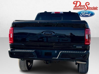 2023 Ford F-150 XLT 4WD SuperCrew 5.5' Box