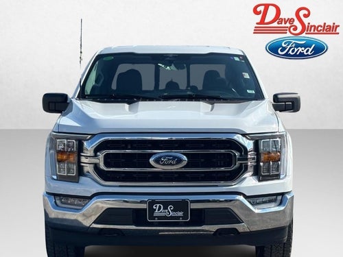 2023 Ford F-150 XLT 4WD SuperCrew 5.5' Box