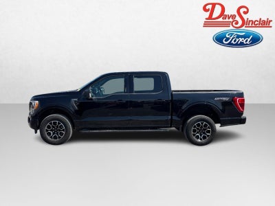 2023 Ford F-150 XLT 4WD SuperCrew 5.5' Box