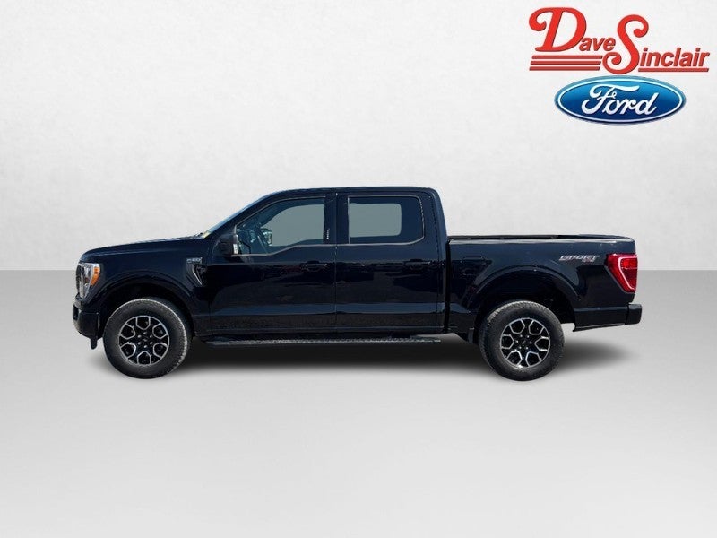2023 Ford F-150 XLT 4WD SuperCrew 5.5' Box