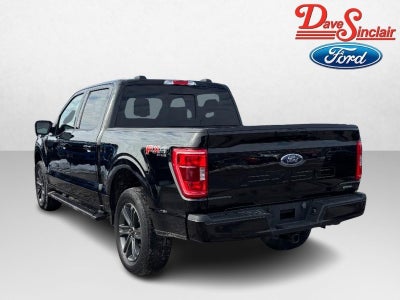 2023 Ford F-150 4WD SuperCrew 5.5' Box
