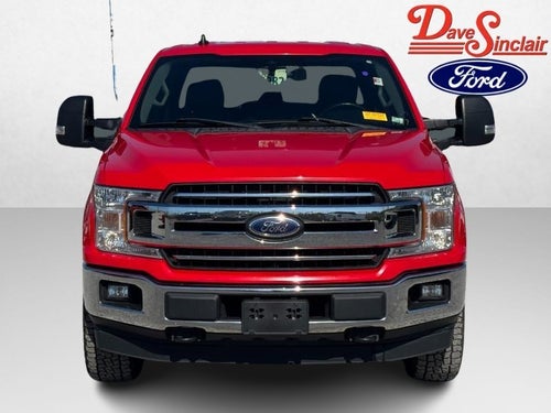 2019 Ford F-150 XLT 4WD SuperCrew 5.5' Box