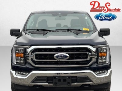 2023 Ford F-150 XLT 4WD SuperCrew 5.5' Box