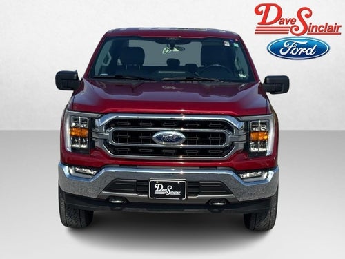 2021 Ford F-150 XLT 4WD SuperCrew 5.5' Box