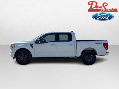 2023 Ford F-150 XLT 4WD SuperCrew 5.5' Box