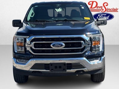 2023 Ford F-150 XLT 4WD SuperCrew 5.5' Box