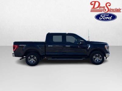 2023 Ford F-150 XLT 4WD SuperCrew 5.5' Box