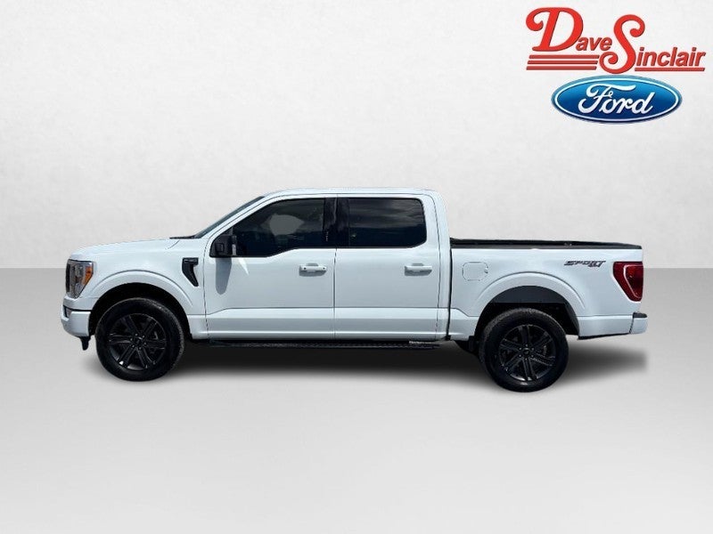 2023 Ford F-150 XLT 4WD SuperCrew 5.5' Box