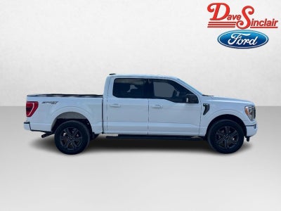 2023 Ford F-150 XLT 4WD SuperCrew 5.5' Box