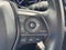 2023 Toyota Camry SE Auto (Natl)