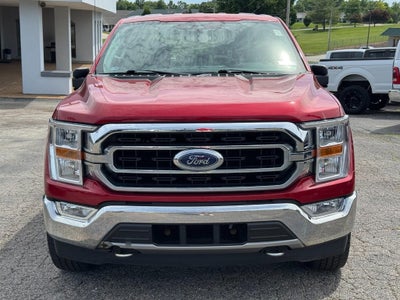 2021 Ford F-150 4WD SuperCrew 5.5' Box