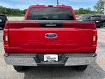 2021 Ford F-150 4WD SuperCrew 5.5' Box