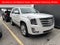 2020 Cadillac Escalade 4WD 4dr Platinum