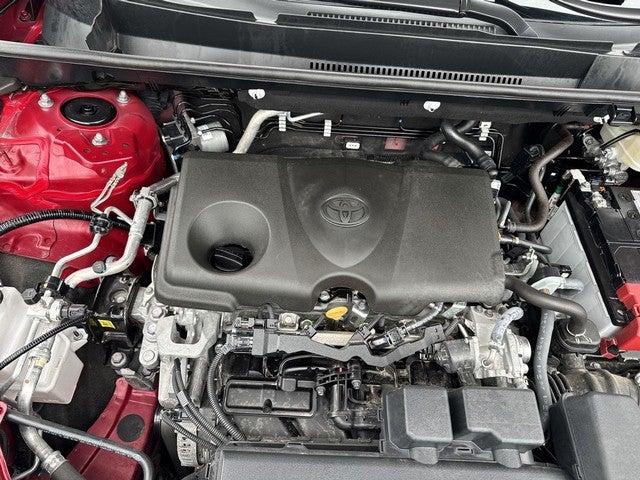 2025 Toyota RAV4 XLE AWD (Natl)