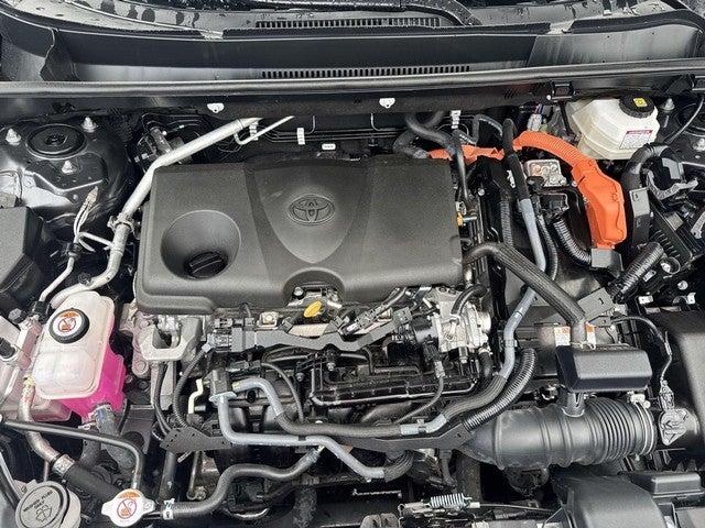 2025 Toyota RAV4 Hybrid LE AWD (Natl)